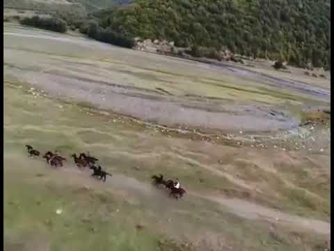 Скачки в Панкиси. Horse racing in Pankisi. დოღი პანკისში. #pankisi